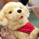 Image for article titled Your Lonely Grandparents Can Now Get a Robot Retriever To Keep Them Company